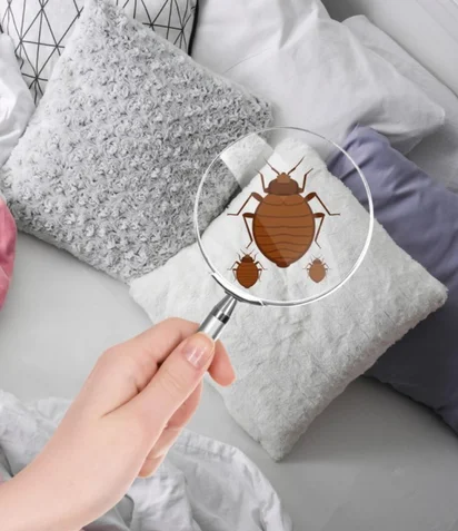 Rug Cleaning Process