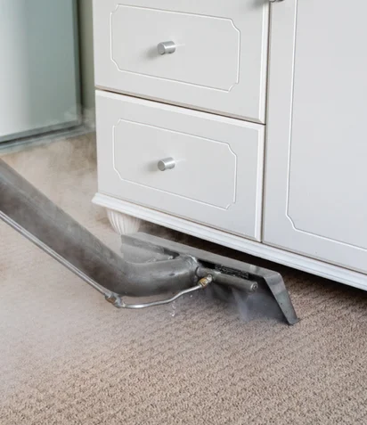 Rug Cleaning Process