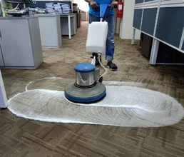 Carpet Cleaning