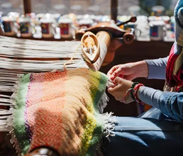 Area Rug Restoration